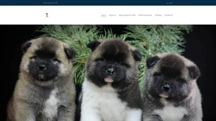 Screenshot of