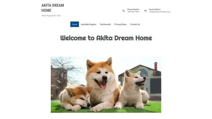 Screenshot of