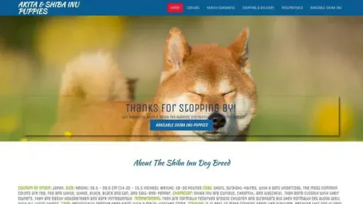 Screenshot of