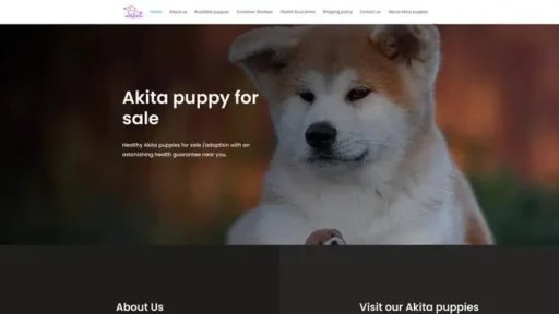 Screenshot of