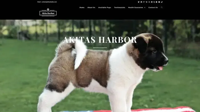 Screenshot of