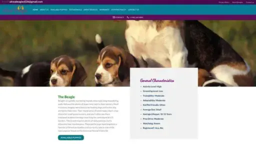 Screenshot of
