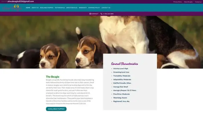 Screenshot of