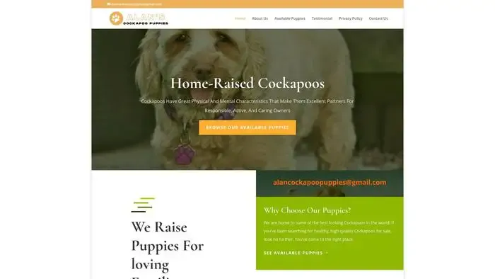 Screenshot of