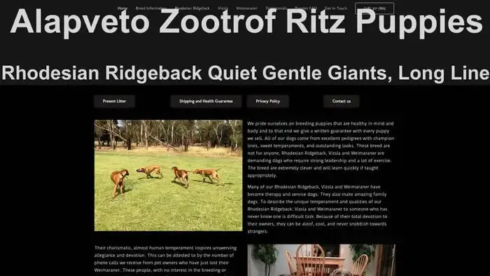 Screenshot of
