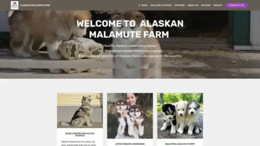 Screenshot of