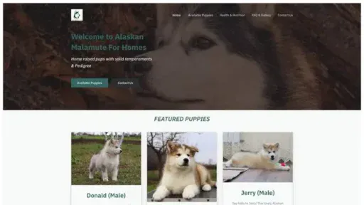 Screenshot of