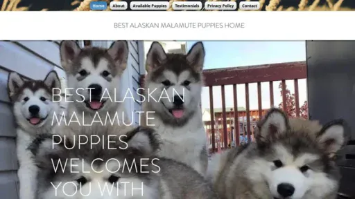 Screenshot of