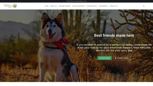Screenshot of