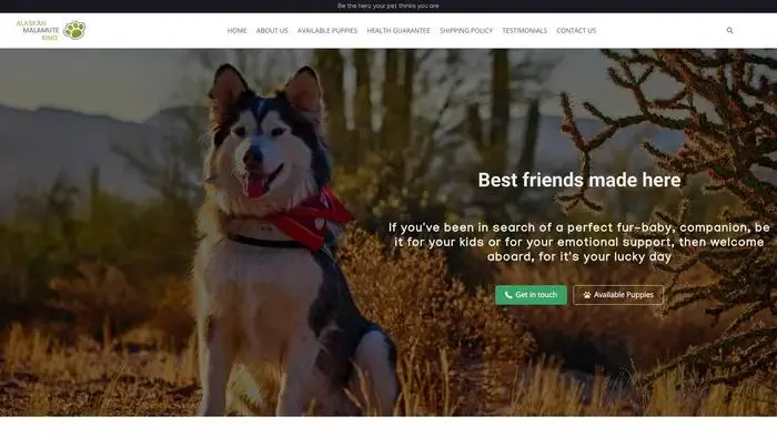 Screenshot of