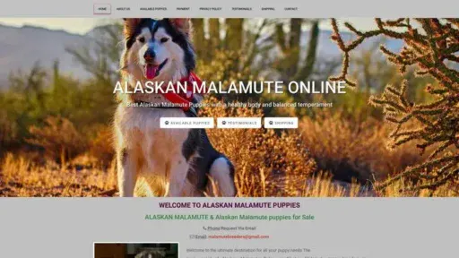 Screenshot of