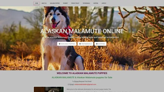 Screenshot of