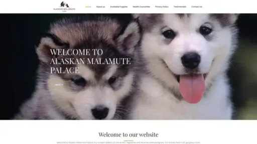 Screenshot of