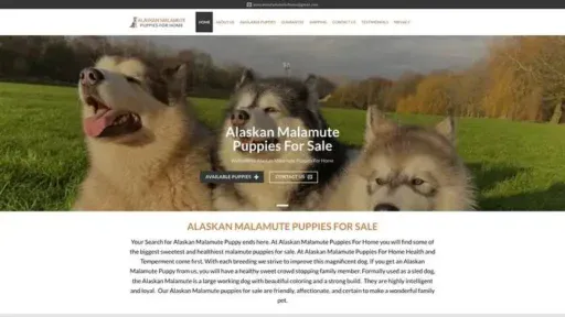 Screenshot of