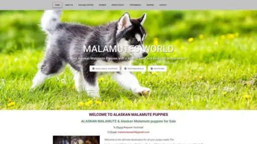 Screenshot of
