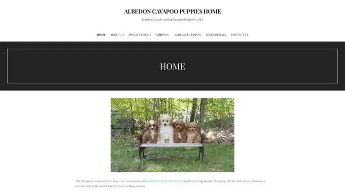 Screenshot of