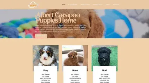 Screenshot of