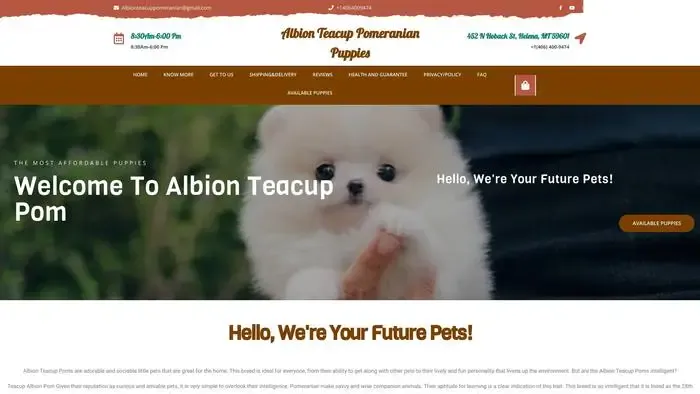 Screenshot of