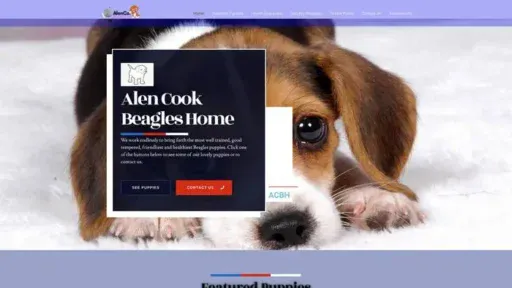 Screenshot of
