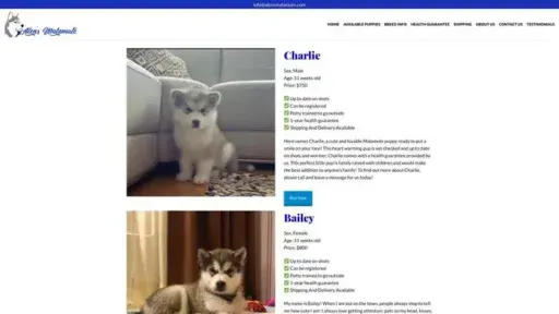 Screenshot of