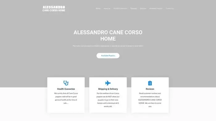 Screenshot of