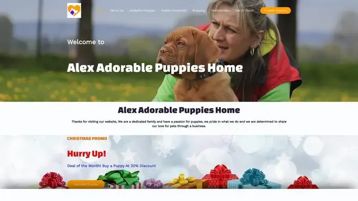 Screenshot of