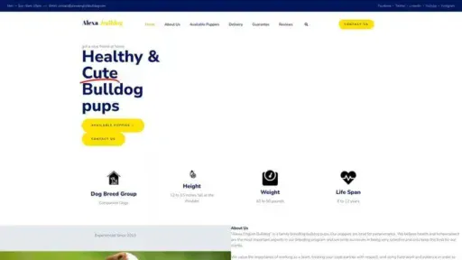 Screenshot of
