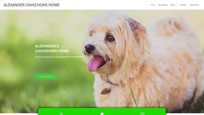 Screenshot of