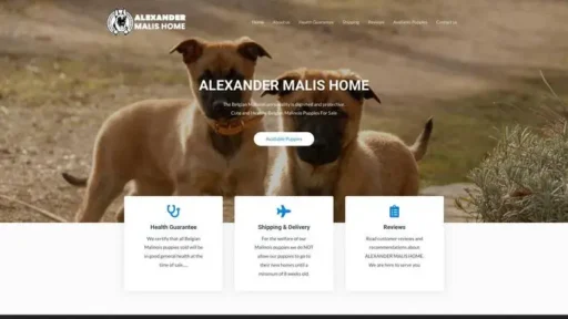 Screenshot of