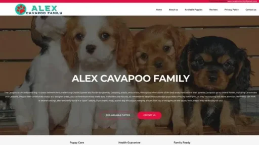 Screenshot of