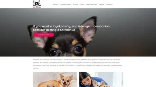 Screenshot of