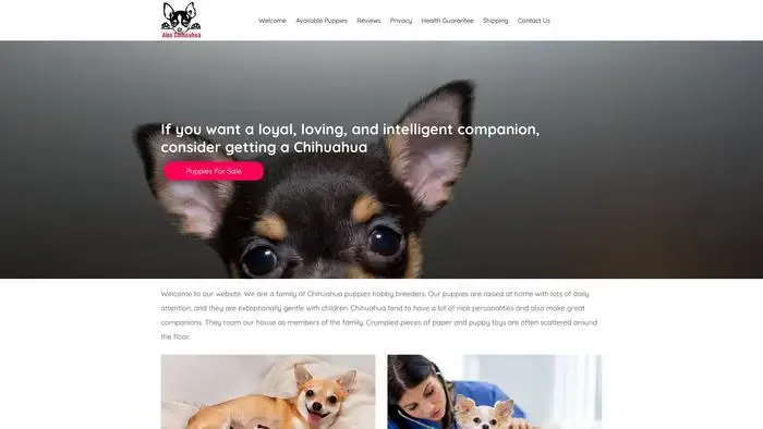 Screenshot of
