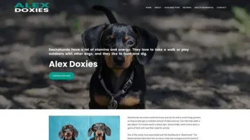 Screenshot of