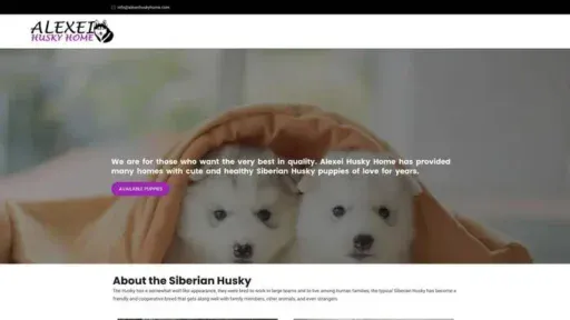 Screenshot of