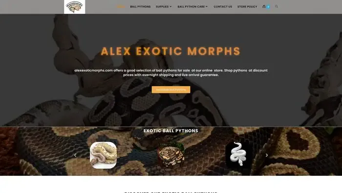 Screenshot of