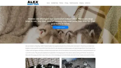 Screenshot of