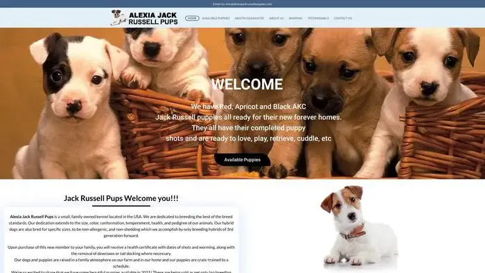 Screenshot of