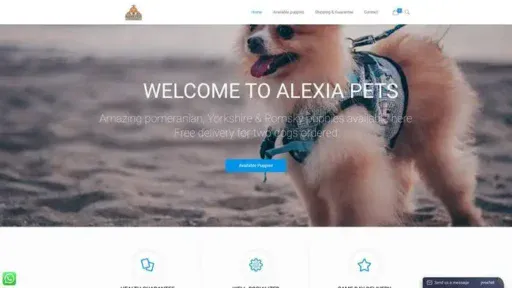 Screenshot of