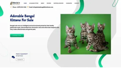 Screenshot of