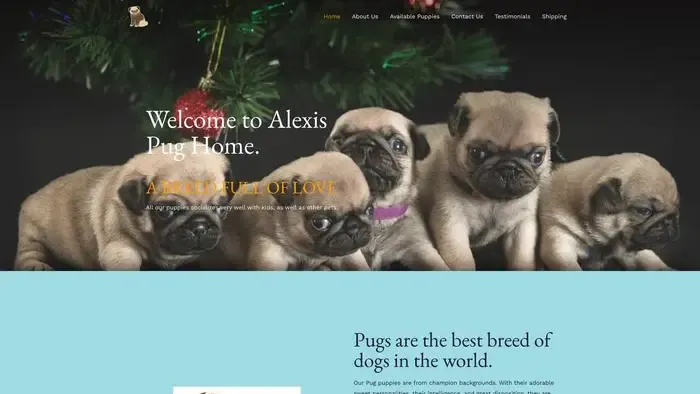 Screenshot of