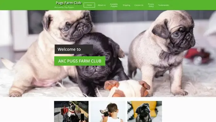 Screenshot of