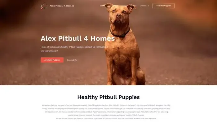 Screenshot of