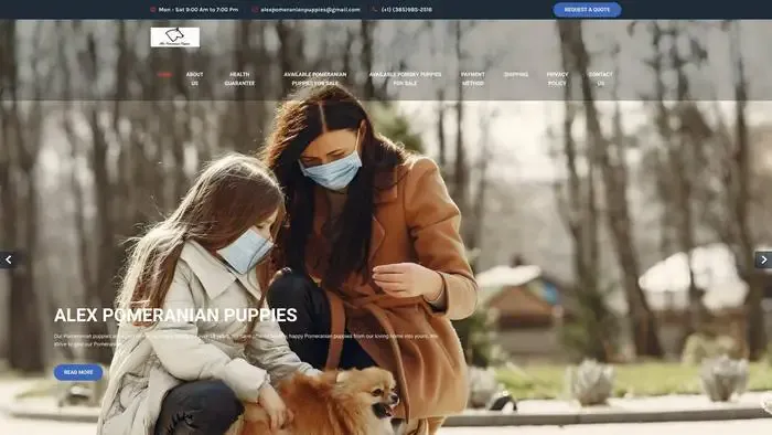 Screenshot of