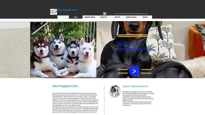 Screenshot of