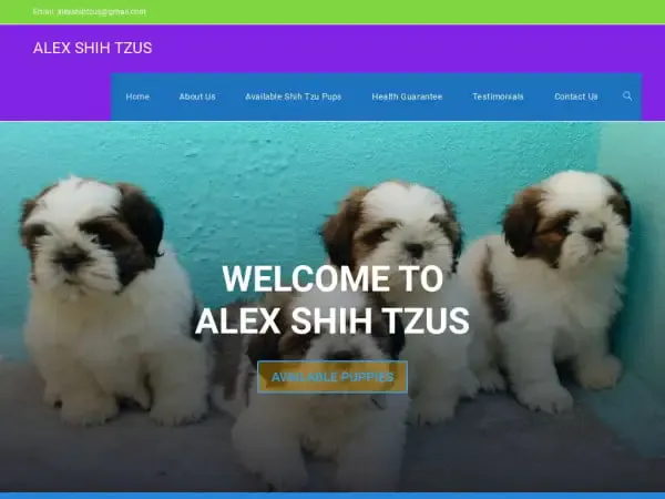 Screenshot of