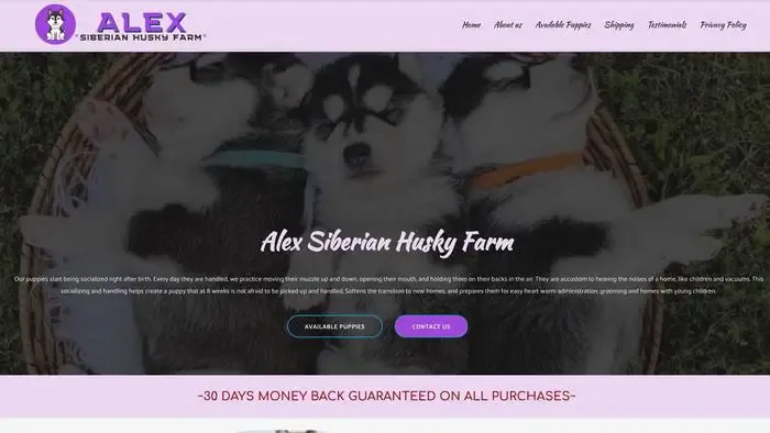 Screenshot of