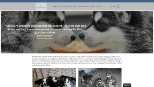 Screenshot of