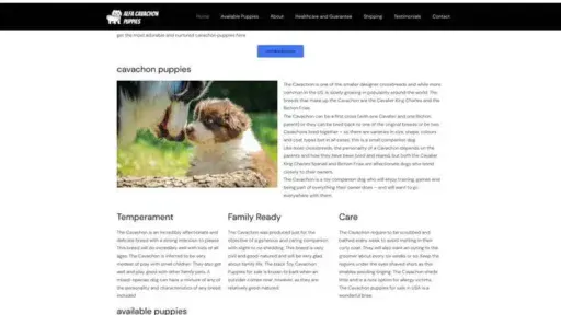 Screenshot of