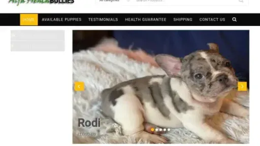 Screenshot of