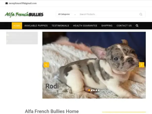 Screenshot of